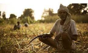 महर्षी विठ्ठल रामजी शिंदे यांच्या बद्दल संपूर्ण माहिती 3 महर्षी विठ्ठल रामजी शिंदे यांच्या बद्दल संपूर्ण माहिती