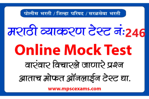 Marathi Grammar Test 246 | Solve Now 1 Marathi Grammar Test